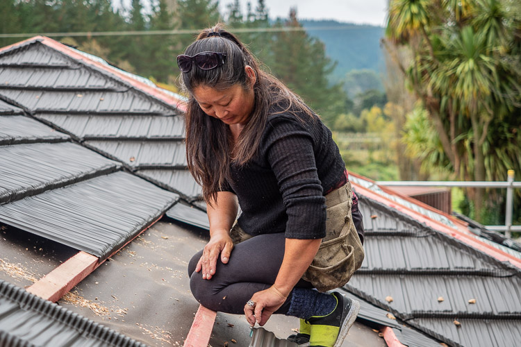 Nina, Zealand Roofing