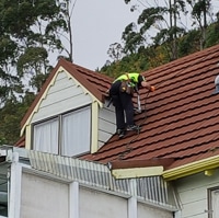 Nigel using a harness