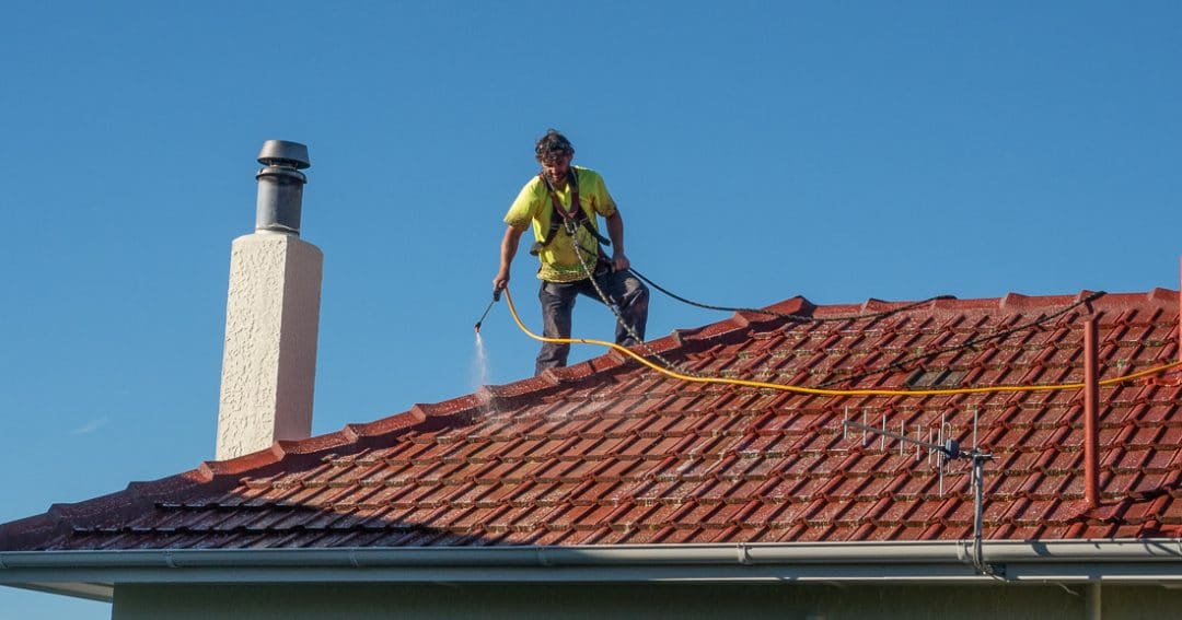 Roof Moss Treatment