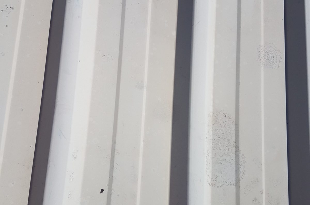 waterblast lichen of roof