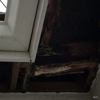 Leak Damage, Nelson, New Zealand