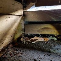 Leak-Detection Zealand Roofing Leak Detection