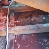 Leak-Detection Leak-Detection