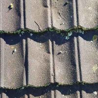 Damaged Tiles Damaged Gerard Tiles - Zealand Roofing