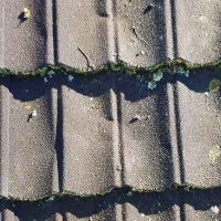 Damaged Gerard Tiles - Zealand Roofing