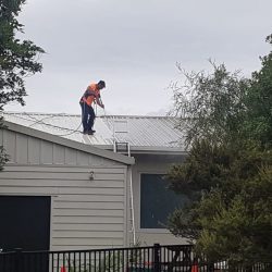 water blasting a roof in Nelson, New Zealand